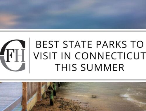 Best State Parks to Visit in Connecticut this Summer