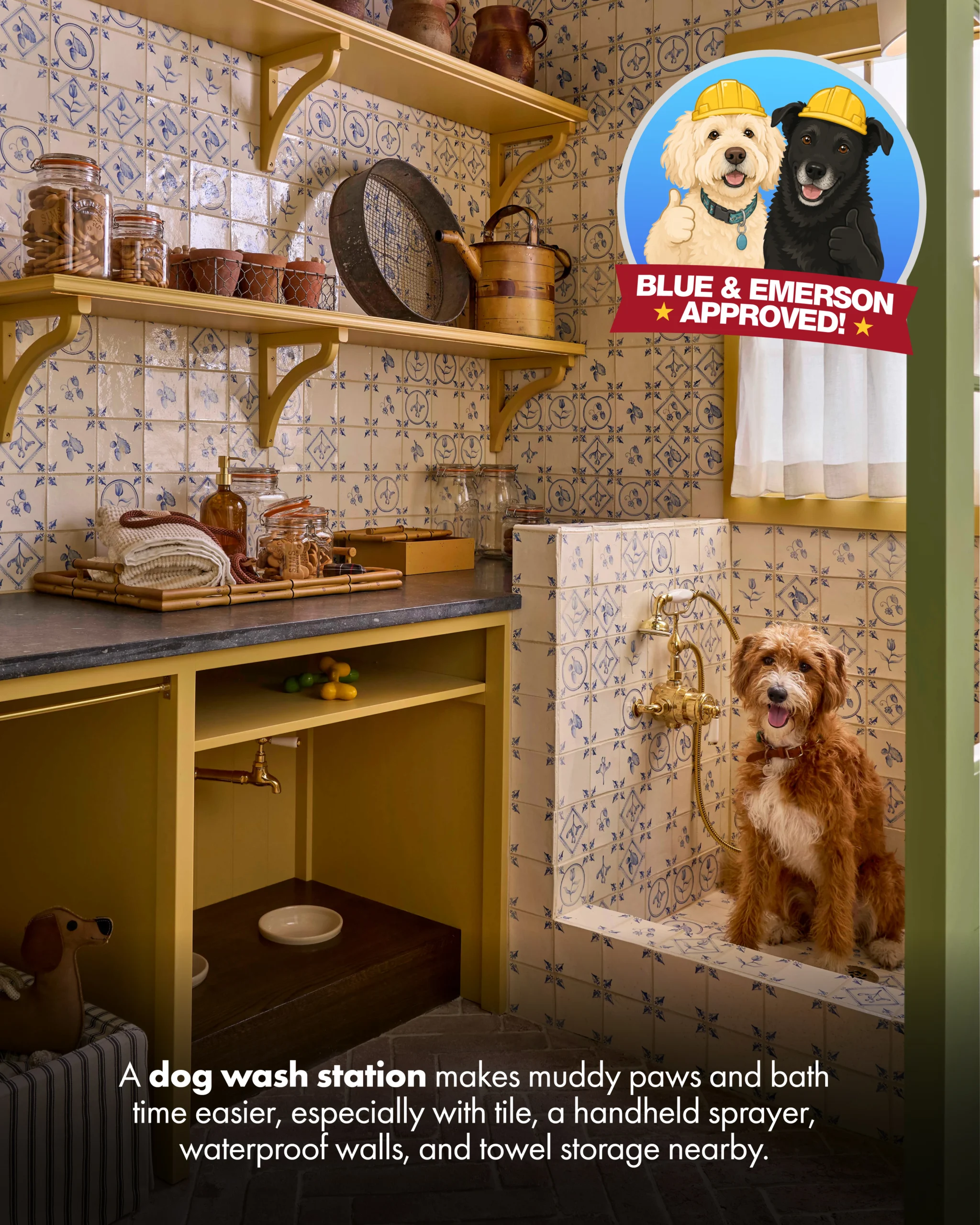 Custom dog wash station with tile and handheld sprayer