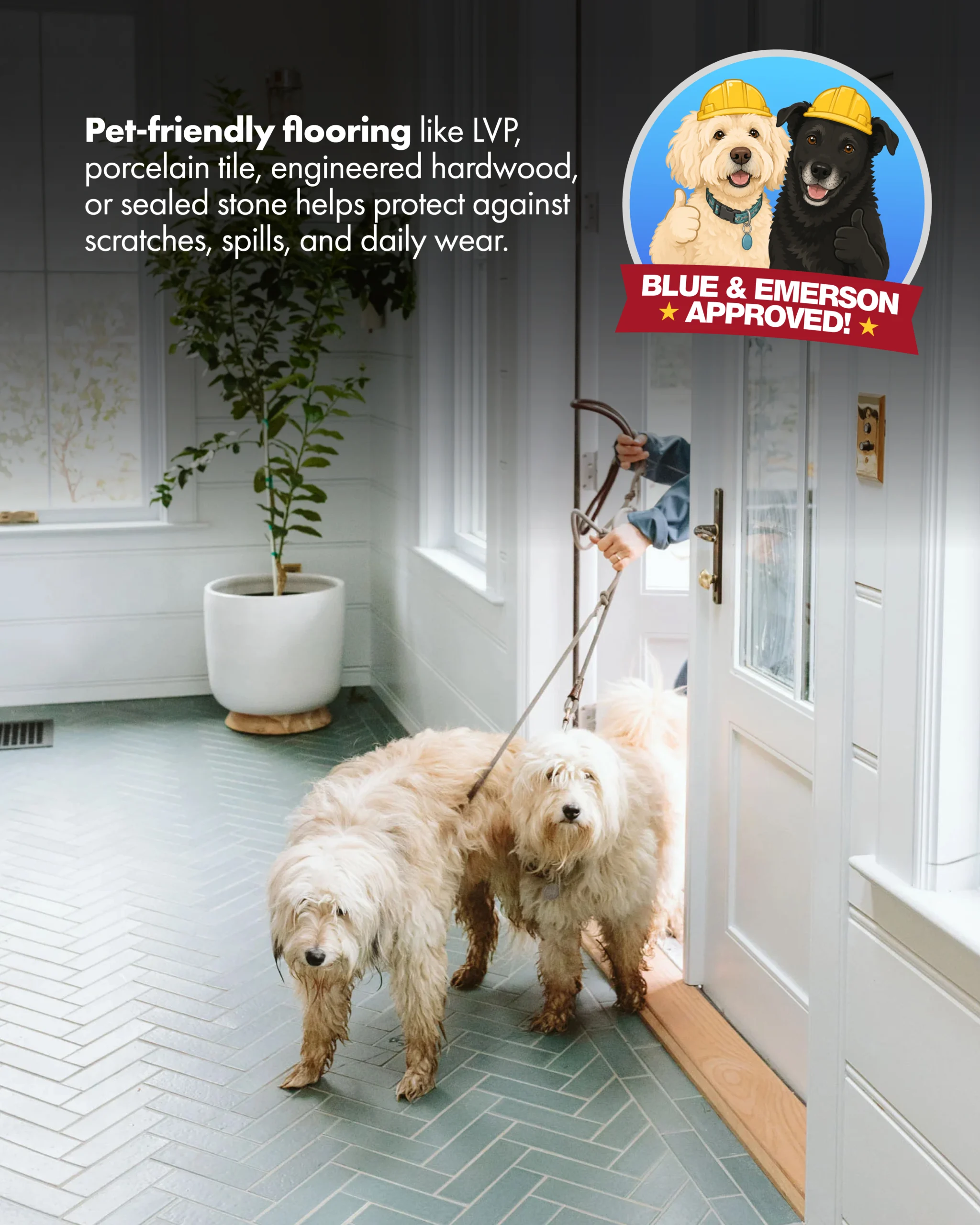 Pet-friendly flooring for dogs in a remodeled entryway